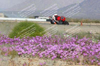 media/Feb-04-2023-SoCal Trackdays (Sat) [[8a776bf2c3]]/Turn 15 Inside Blooming (1050am)/